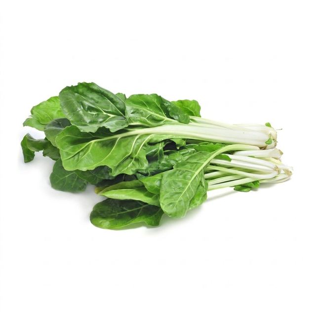 Acelga
