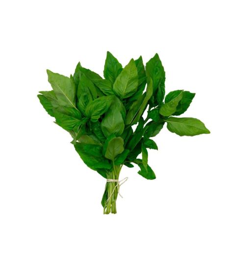 Albahaca